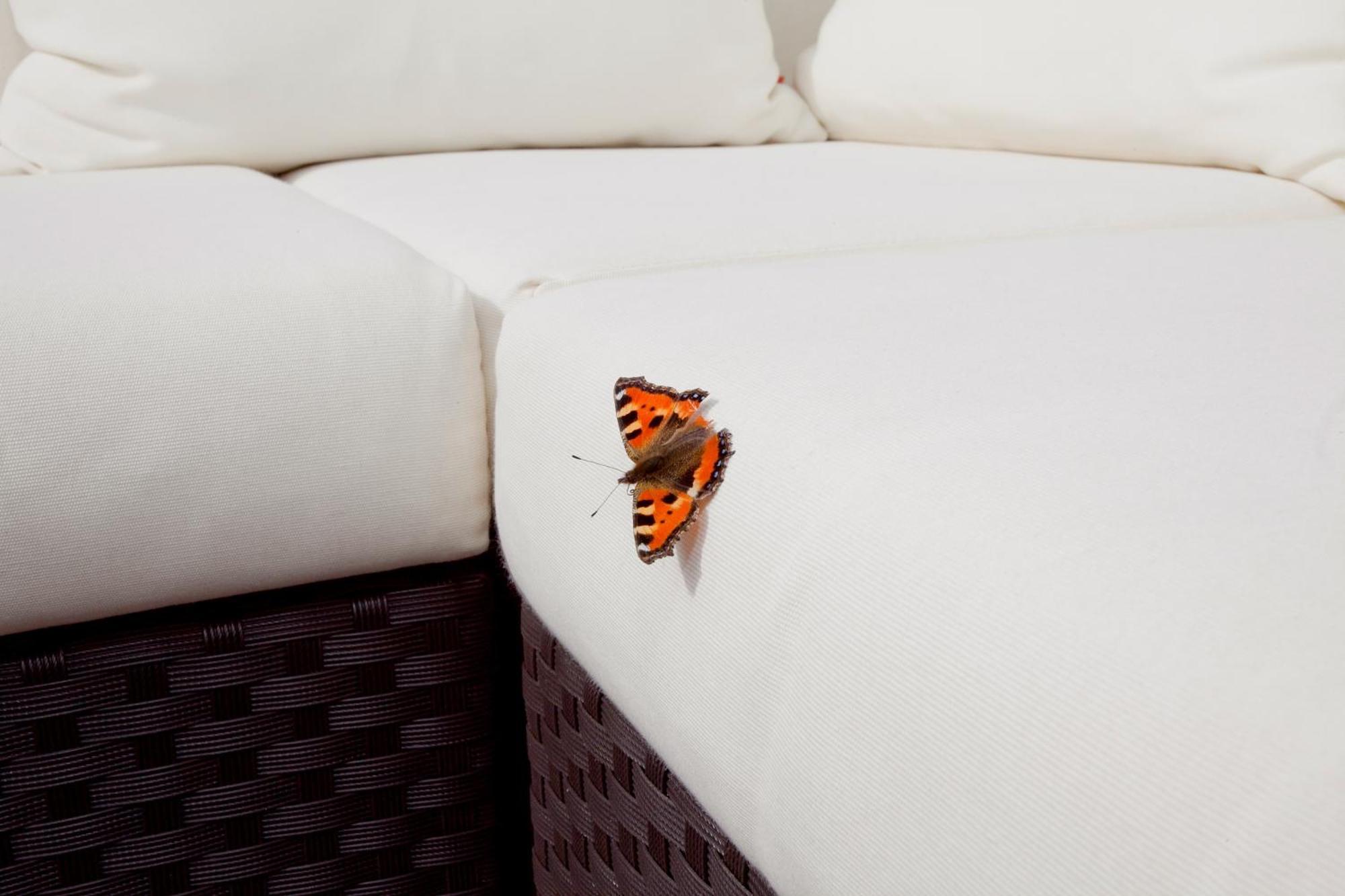 Hotel Strandhaus Belvedere 4*